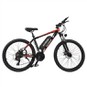 Mountain Beach Elektrofahrrad