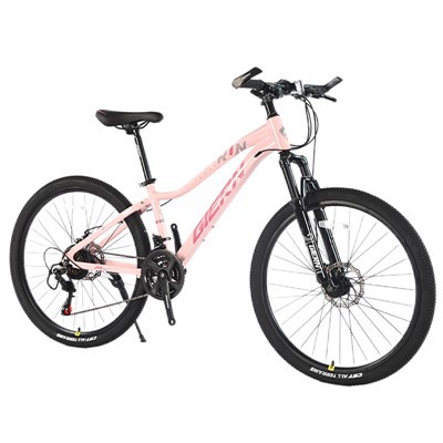 Rosa Mountainbike 26 Zoll
