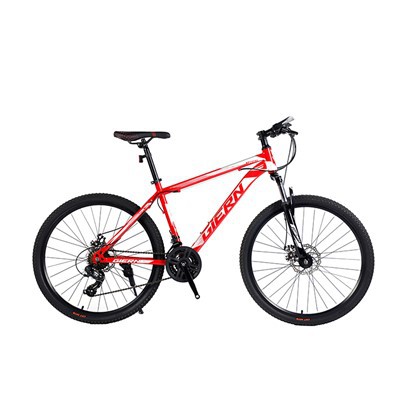 Damen-Mountainbike aus Aluminium
