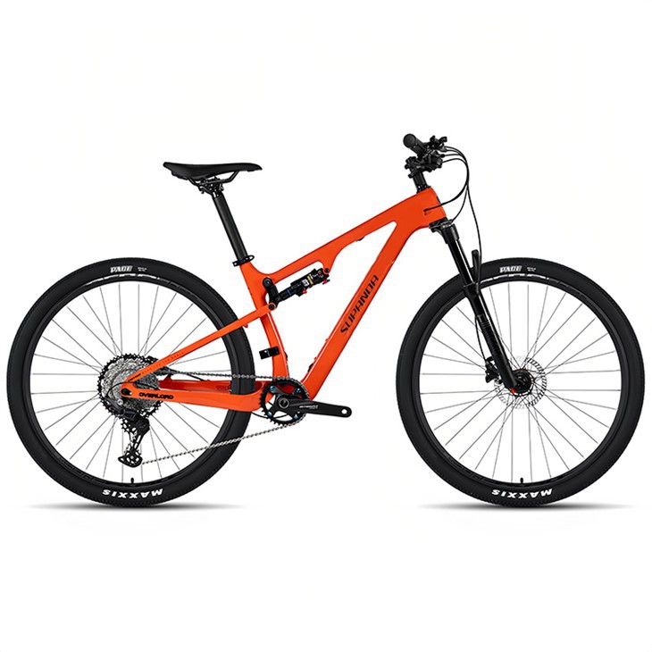 Kohlefaser voller Suspension MTB