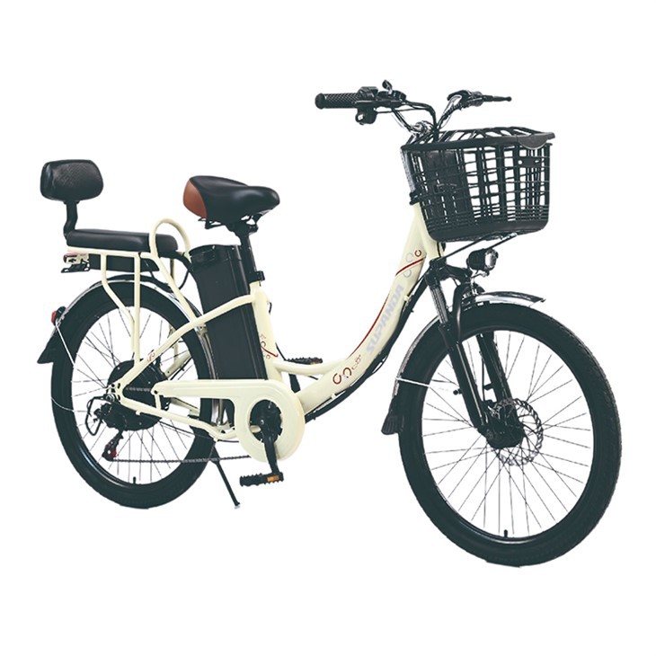 City Star Elektrofahrrad