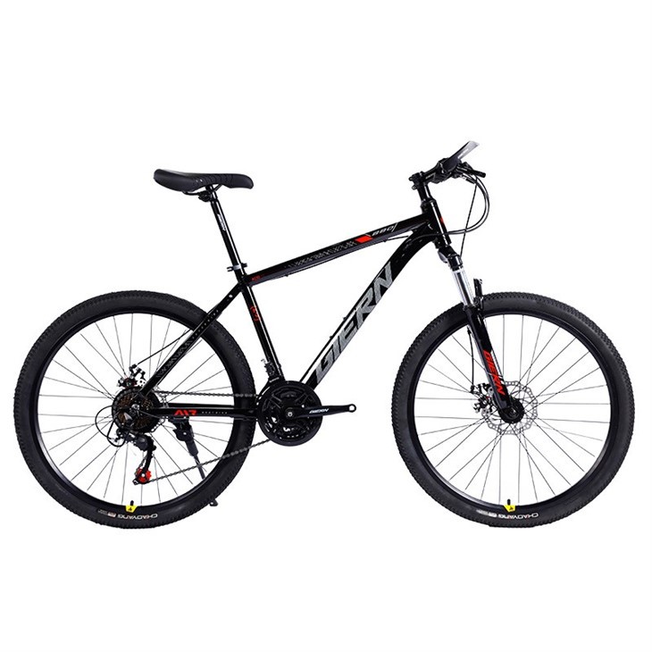 Hardtail Gravel Bike