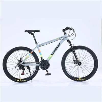 21 Zoll Herren Mountainbike
