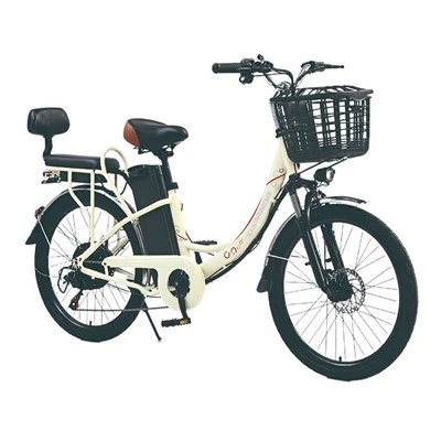 City Star Elektrofahrrad