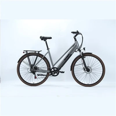 Elektrisches Mountain-City-Bike